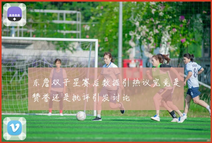 东詹双子星赛后数据引热议究竟是赞誉还是批评引发讨论
