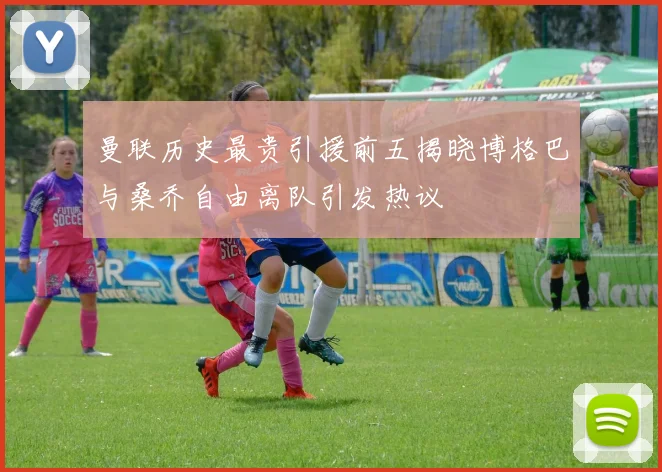 曼联历史最贵引援前五揭晓博格巴与桑乔自由离队引发热议