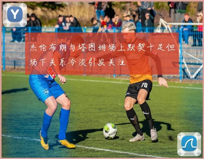 杰伦布朗与塔图姆场上默契十足但场下关系冷淡引发关注